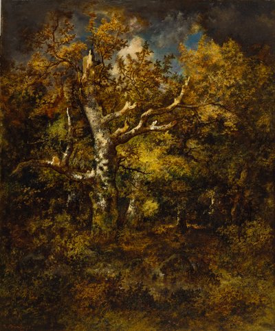 Bos van Fontainebleau, herfst, 1871 door Narcisse Virgile Diaz de la Peña